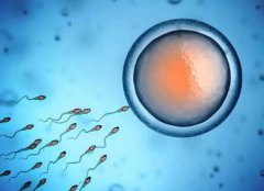 2024年泰国试管婴儿的具体步骤是咋样的，试管婴儿一二三代费用